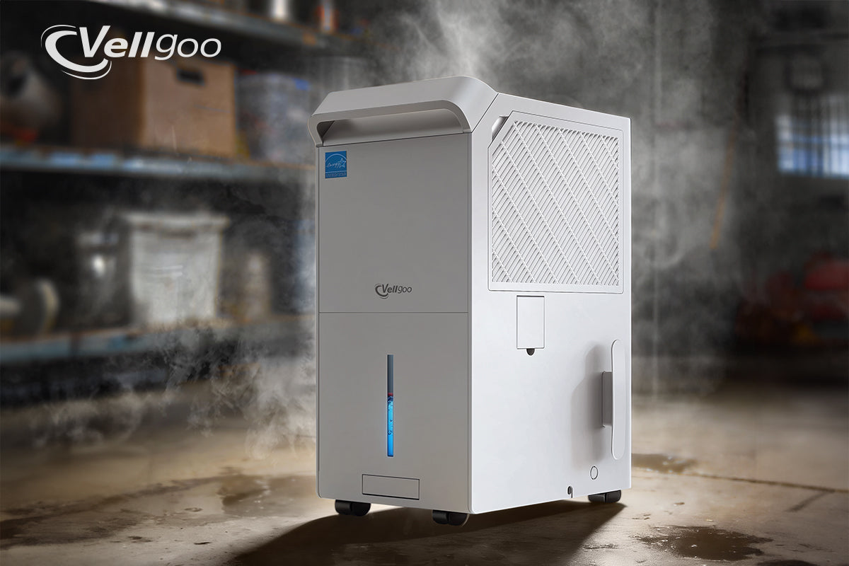 Best Dehumidifier for Basement: How to Stop the Damp Before It Ruins Your Home