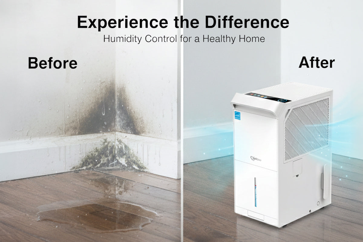 What Does a Dehumidifier Actually Do? (And Do You Really Need One?)