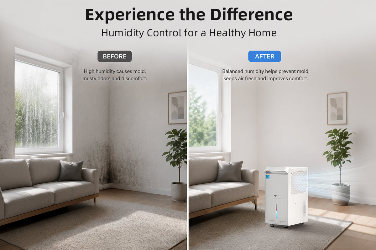 What Does a Dehumidifier Actually Do? (And Do You Really Need One?)